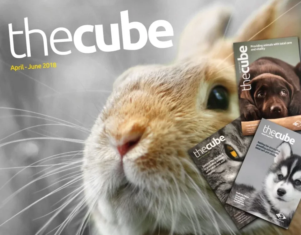 nvs-cube-case-study