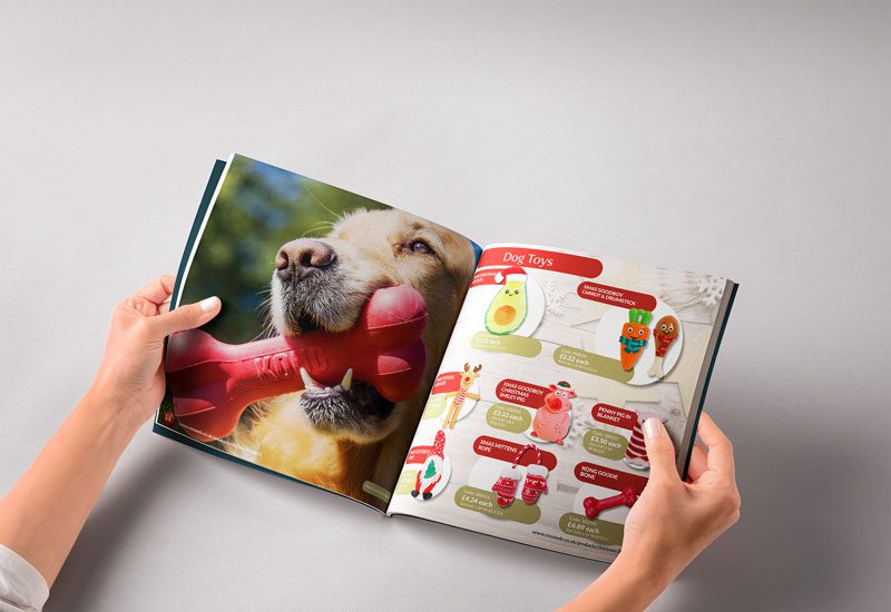NVS-xmas-brochure-mockup1-800